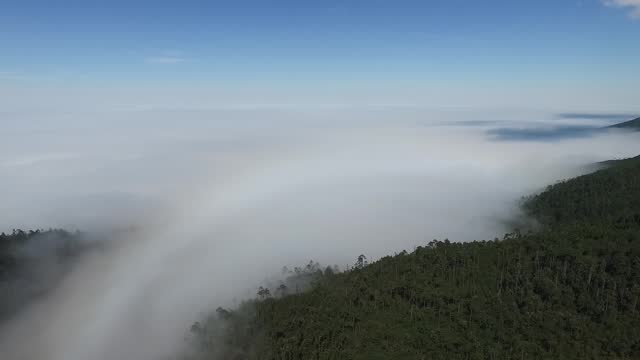 Flying over the cloud forest of Oaxaca, Mexico