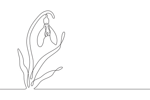 Continuous line drawing of a spring ephemeral snowdrop flower. This vector illustration has an editable stroke for easy editing and copy space for text placement.
