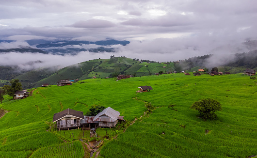 Rice terrace fields at Pa Bong Piang village Chiang Mai