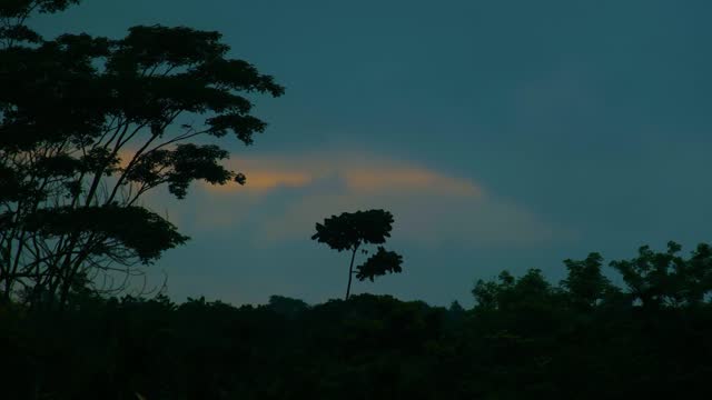 Dramatic Storm Clouds Coming Darkening Tropical Forest, Timelapse