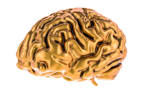 Golden Brain, side view. 3D rendering isolated on white background