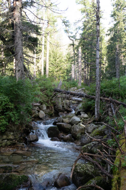 istock Hiking trail in Slovakia 2148352060