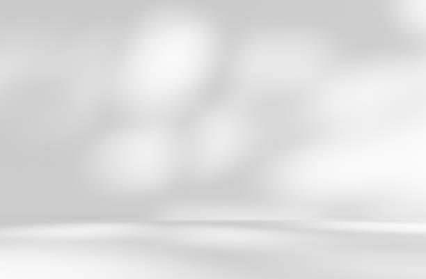 istock Empty gray room studio with shadow of tree leaves on the wall and floor for product presentation. 2148353982