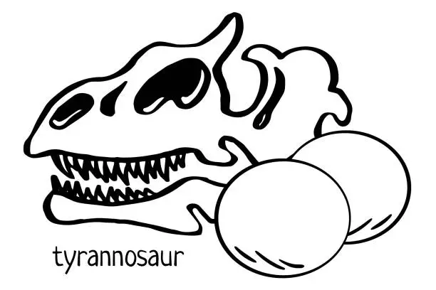 Vector illustration of Tyrannosaurus rex scull with eggs. Hand drawn black line art vector illustration. Triceratops. Doodle simple skull skeleton, egg for archaeological, paleontological, alchemy poster, book, game.
