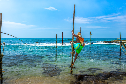 Southwest Coast, Sri Lanka - Jan. 29, 2024: Fishermen skillfully balance on wooden stilts amidst the shallow waters, casting their lines in a serene and traditional fishing method.