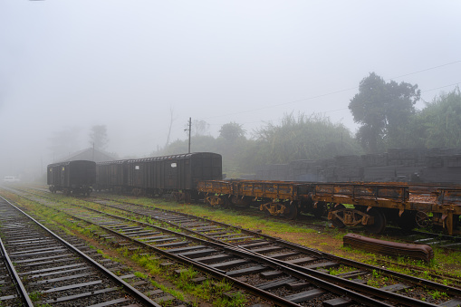 Fog envelops the serene Ambewela railway, highlighting the tracks and greenery. A mystical aura, accentuated by the quietude of nature. Ambewela, Sri Lanka.