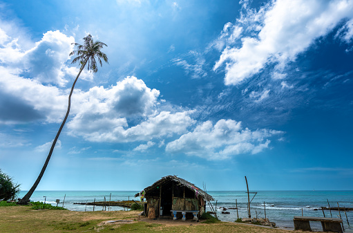 Stunning coastal scene with blue skies, coconut trees, and a thatched hut. Traditional stilt fishing adds to the charm. Southwest Coast, Sri Lanka.
