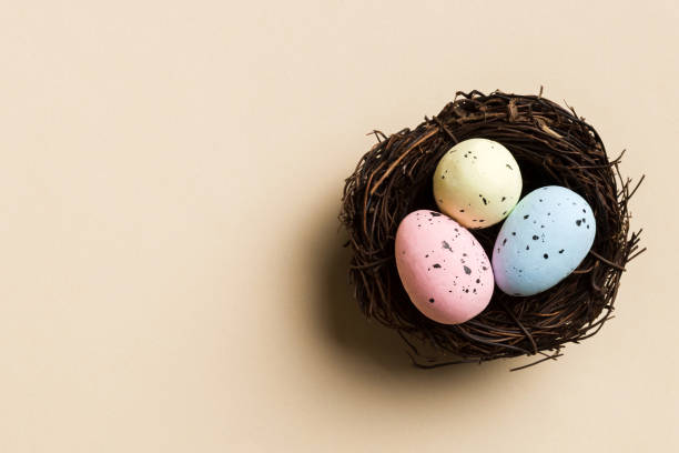istock Colorful easter eggs in nest on table background with copy space top view 2148354771