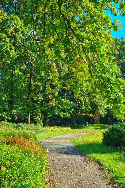 Beautiful hiking trail in the park in spring