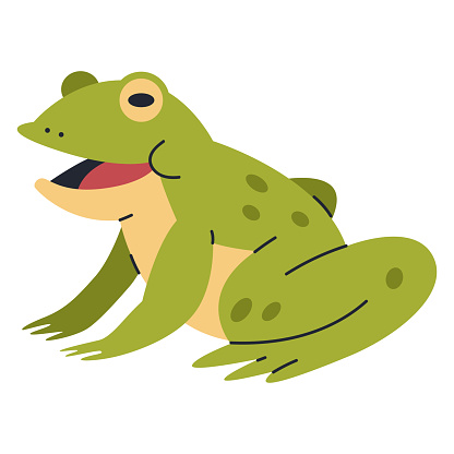 Cute marsh frog vector cartoon illustration isolated on a white background.