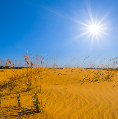 sandy desert at the hot sunny summer day