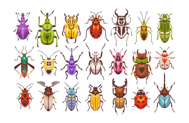 Vector illustration of Beetles and bugs. Colorful insects of various shapes. Beetle set vector flat illustration