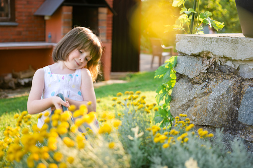 Cute little girls watering yellow flowers in the yard