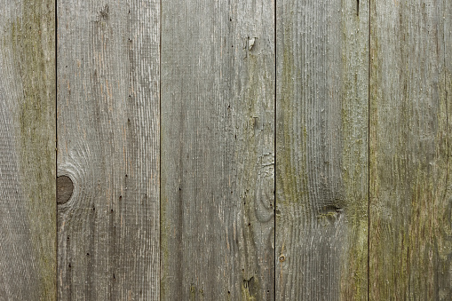 The texture of old wooden boards. Close-up, Background