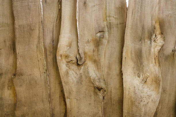 wood abstract background