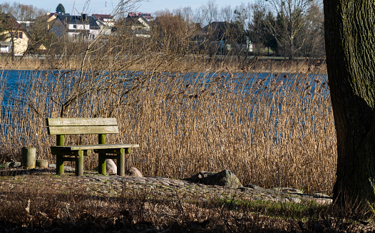 Old wooden bench and abandoned natural park early spring. Lake shore at sunrise