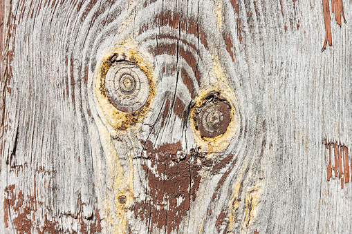 Close-up wooden surface with old brown paint. Texture, Close-up, Background