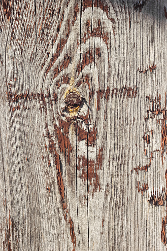 Close-up wooden surface with old brown paint. Texture, Close-up, Background