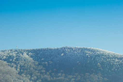 The mountain is covered with snow on a blue sky background. Carpathians