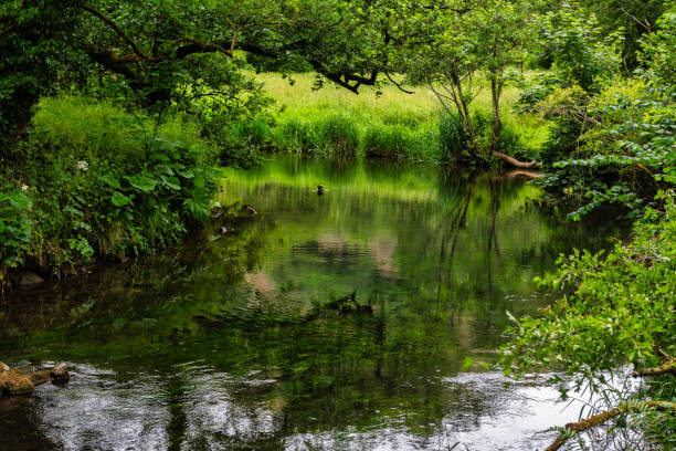 The River Dove viewed from the path between Dovedale and Milldale in the Peak DIstrict in Derbyshire, England