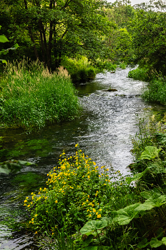 The River Dove viewed from the path between Dovedale and Milldale in the Peak DIstrict in Derbyshire, England