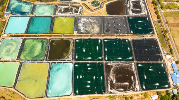 istock Shrimp farm in Philippines. 2148363763