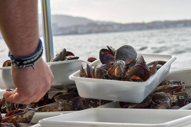 istock Eating mussels aboard a boat in the Ria de Vigo 2148364362