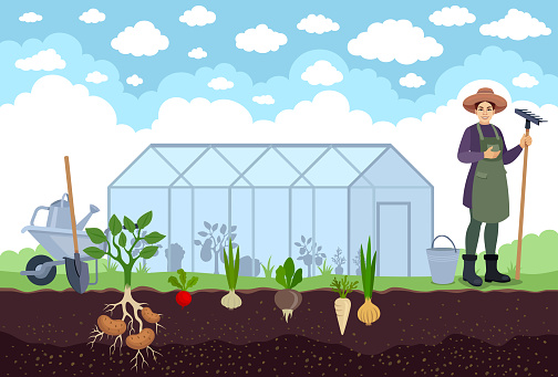 Greenhouse farm with glass walls. The gardener standing proudly in front of her greenhouse filled with vegetables.