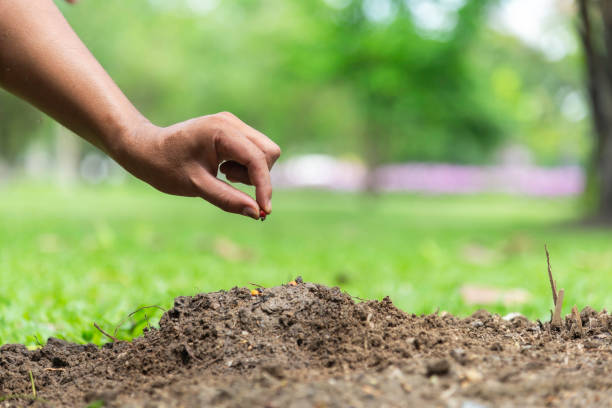 istock Earth day and Hands Team Work protecting tree growing for reduce global warming earth.Ecology concept background 2148366090