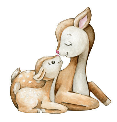 deer. Mom and baby are looking at each other. Watercolor cartoon-style clipart on an isolated background.
