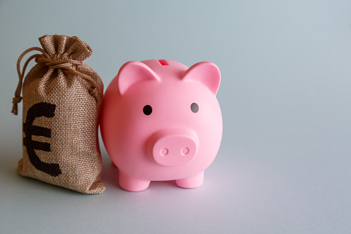 A piggy bank in the form of a pink pig and a bag with the euro symbol on a reduced background.