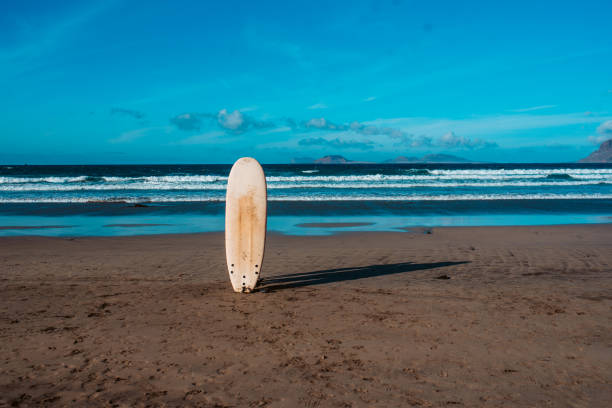istock Surfboard in sand on a sunny beach during sunset. 2148370854