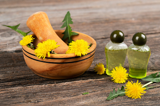 Mortar and pestle with fresh dandelion on wooden table