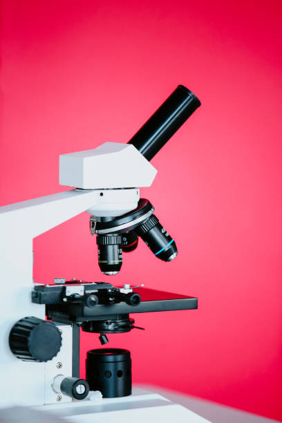 Close-up view of a microscope on a pink background. The microscope is a traditional design with a round base, a tall arm, and a binocular eyepiece