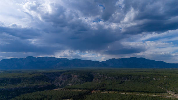 Aerial shooting with drone. Mountain range behind the forest area. Pine forest. Short view, nature view. Soil forest roads