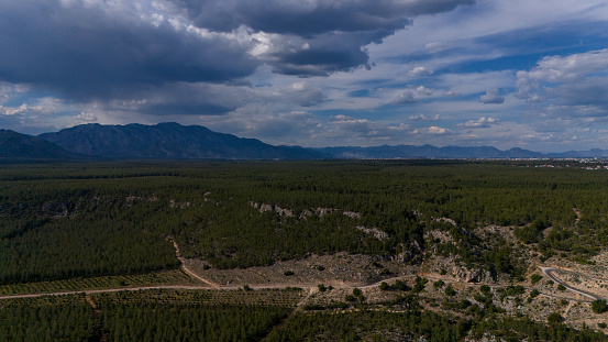 Aerial shooting with drone. Mountain range behind the forest area. Pine forest. Short view, nature view. Soil forest roads