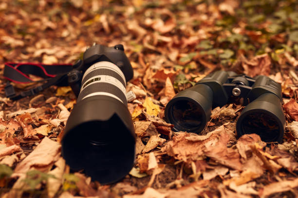 istock Binoculars and camera for birdwatching and other observing animals in nature. 2148373707