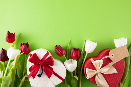 Mother’s Day and Valentine’s Day concept with red tulips and heart shaped gift box