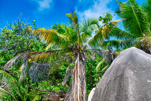 Amazing landscape of La Digue Island in the Seychelles Archipelago.