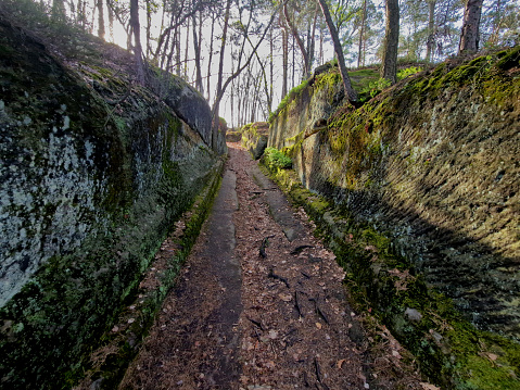 rock formation of human origin. the forest path passing along the hillside was dug into sandstone rock. It was difficult dig such gap, but it also made forest accessible for horse-drawn carriage