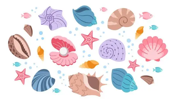 Vector illustration of Set of seashells in flat design. Collection of illustrations of colorful seashells in cartoon style on a white background.