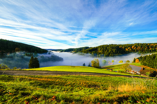 Morning landscape in the Black Forest. Nature with forests and low-lying clouds.