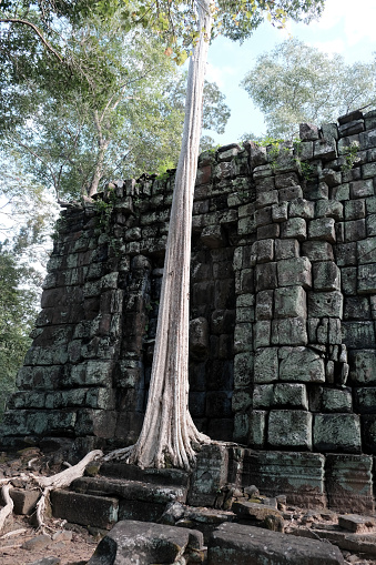 Ruins of Prasat Andong Kuk, one of the five isolated temples belonging to the north-eastern group at Koh Ker, a remote archaeological site in northern Cambodia about 120 kilometres from the ancient site of Angkor.