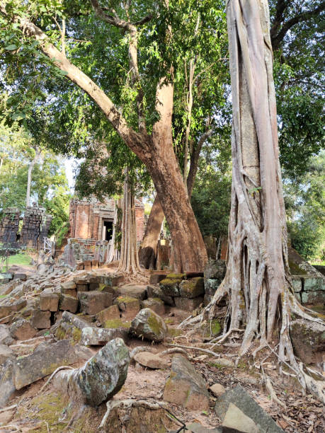 istock Prasat Krahom, Koh Ker, Cambodia 2148379032