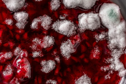Dangerous mold in a glass jar of red raspberry jam, close up, top view. Mold is very dangerous to health