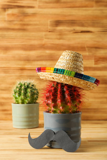 istock Composition for Cinco de Mayo - Mexican National Holiday 2148380110