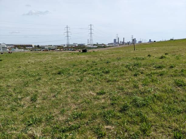 istock Beddington Farmlands nature reserve 2148381004
