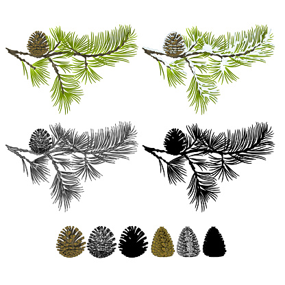Pine branch with snow and pine cones and  as vintage engraving and silhouette set seven vector illustration editable hand drawn