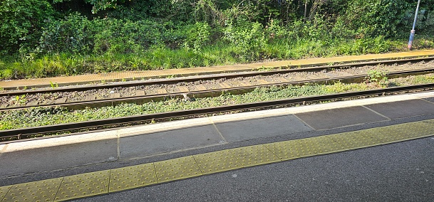 Platform and railway line with a lot of vegetation at Faversham, Kent, UK