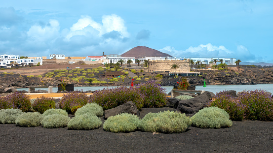Beautiful sustainable way to do landscaping in an arid place with cacti, palm trees, suculent, heather and volcanic ash, Arrecife, Lanzarote, Spain